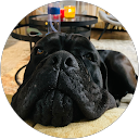 Dace Smite profile picture